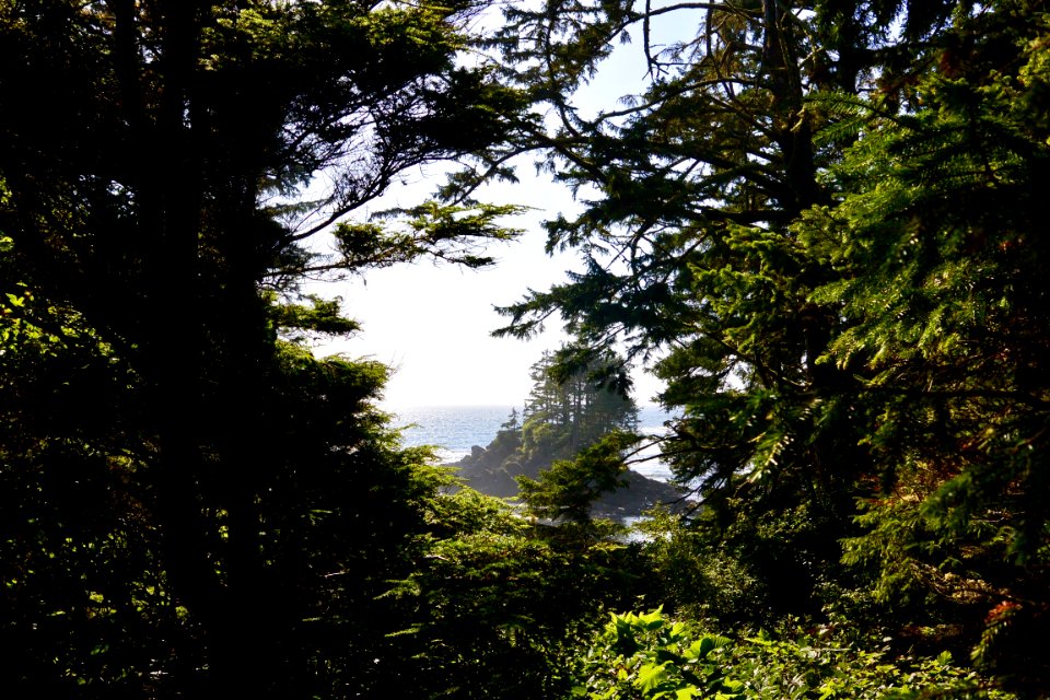 Port Renfrew, Vancouver Island