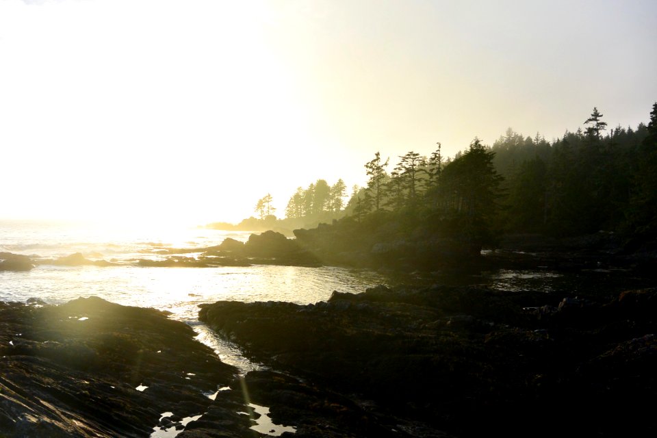 Port Renfrew, Vancouver Island