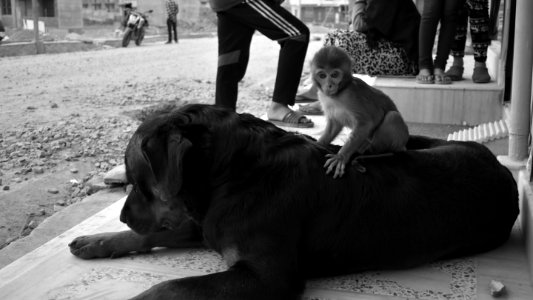 best friends