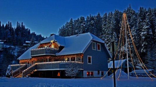 Christmas vennesla