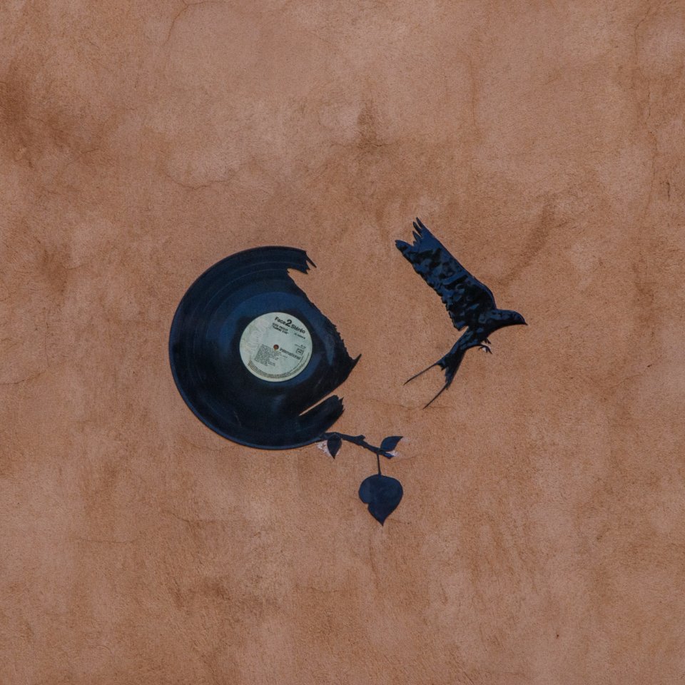 L'envol du vinyle illustré