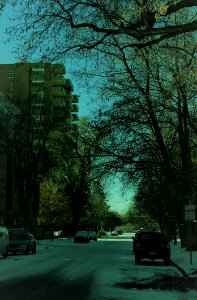 Walking in 11th Avenue West of Cheesman Park