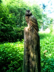 Tree carving Blaydon
