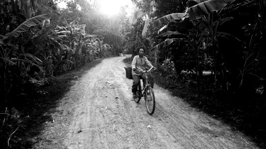 Cycling trough the palm-grove - Rural Battambang province