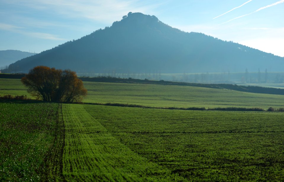 Campos