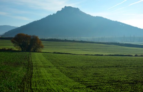 Campos