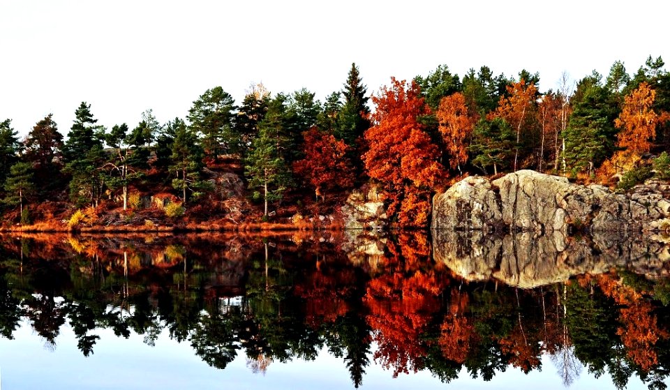 Autumn,-  2. stampe