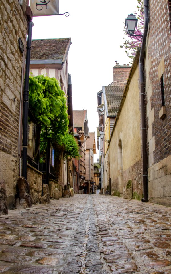 Ruelle des chats
