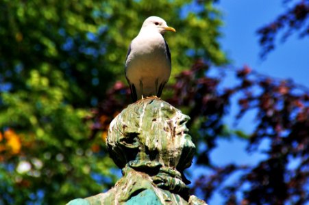 Wergelandsparken,  kristiansand
