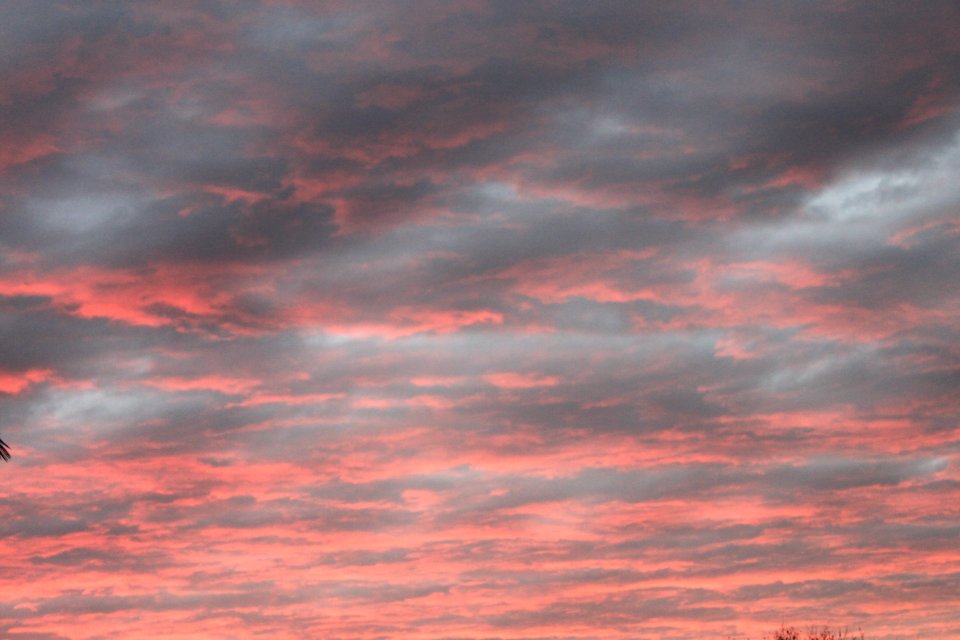 cotton candy skies 1