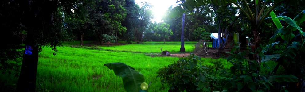 battambang, cambodia photo