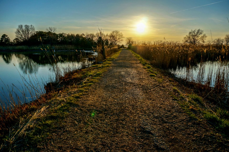 Terrapin Nature Park, Chesapeake Bay, Maryland