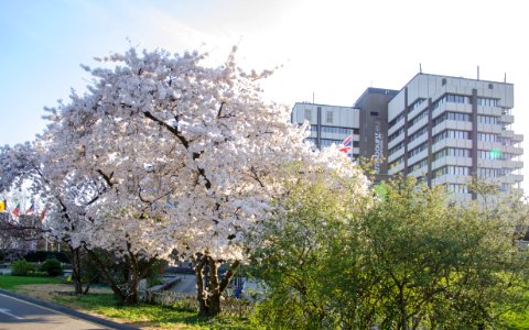 Centre Administratif de Strasbourg