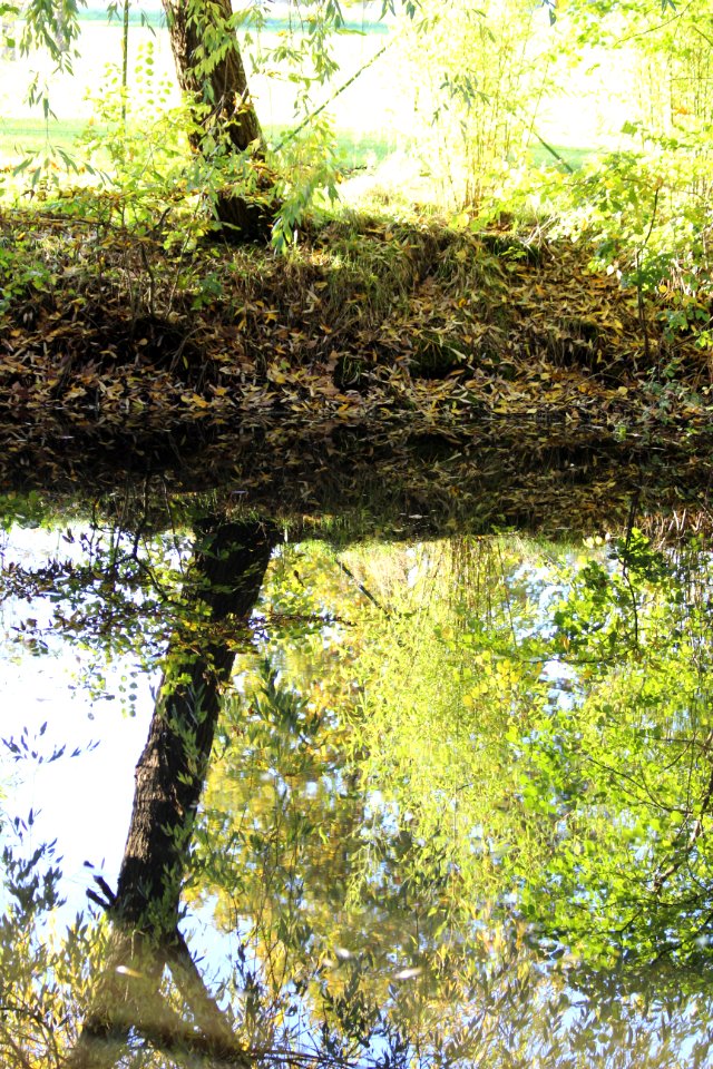 CAMILLE MORENOS - reflets