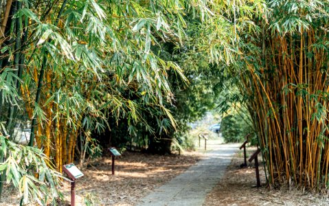 交大美景 / 百竹園