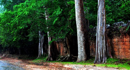 Walls of Angkor Thom, Cambodia photo