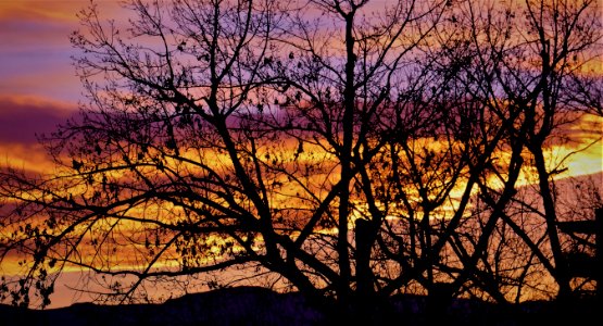 Impeachment of the Sun