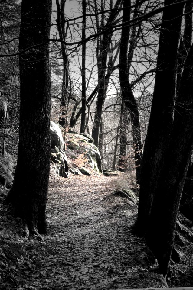 Ravnedalen I kristiansand