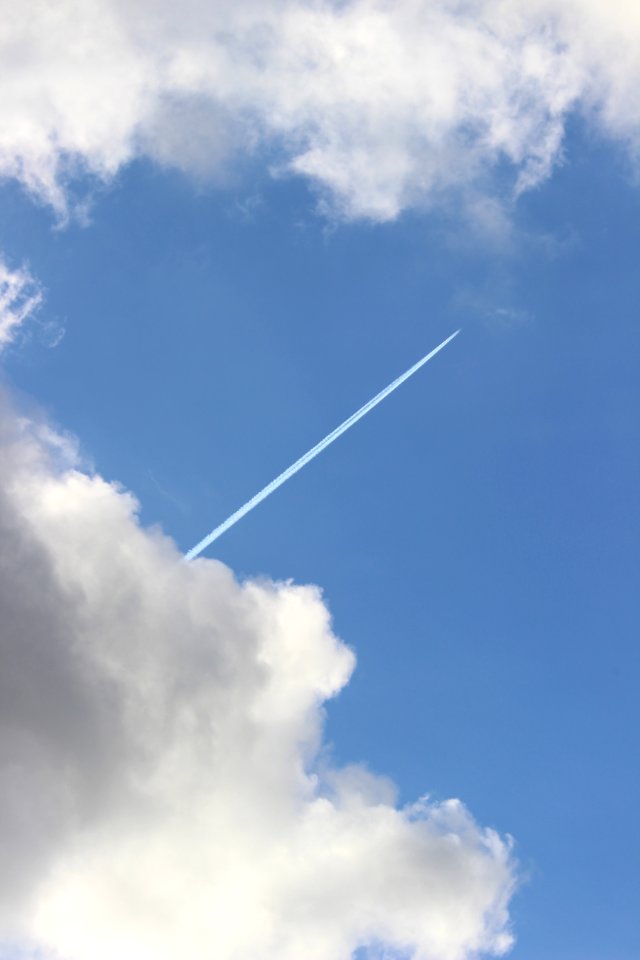 CAMILLE MORENOS - Avion nuage