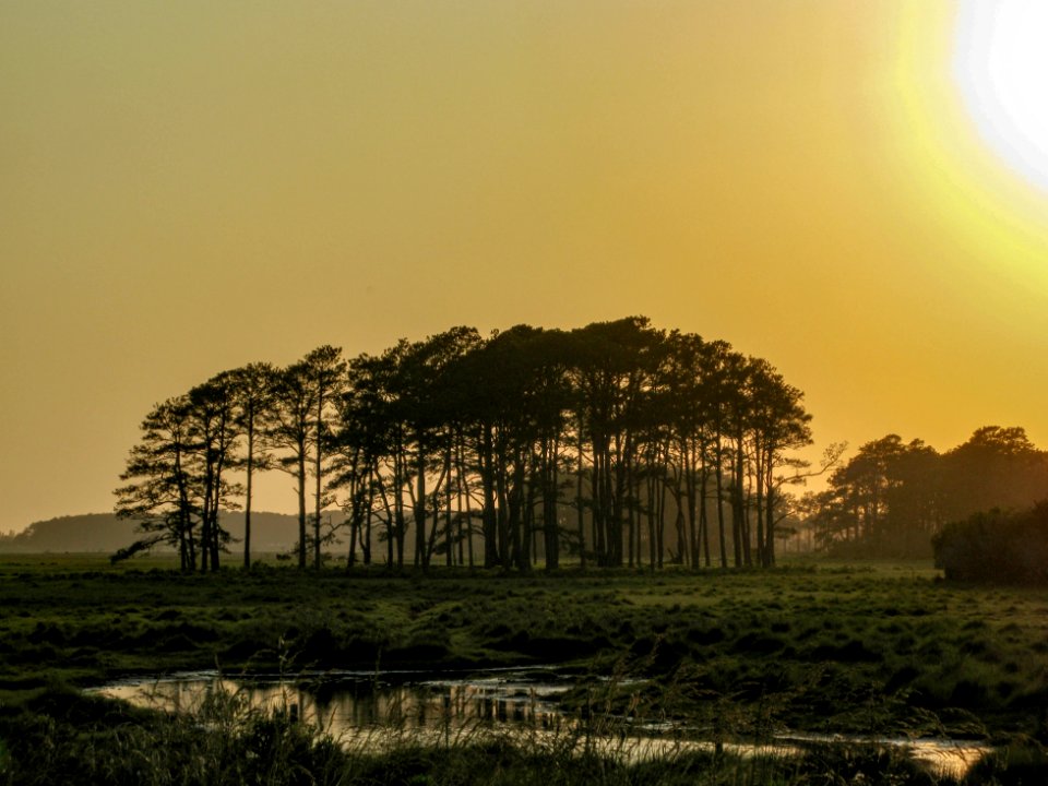Chincoteague Island