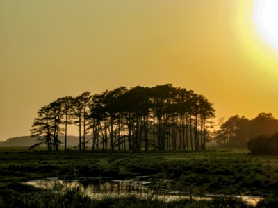 Chincoteague Island