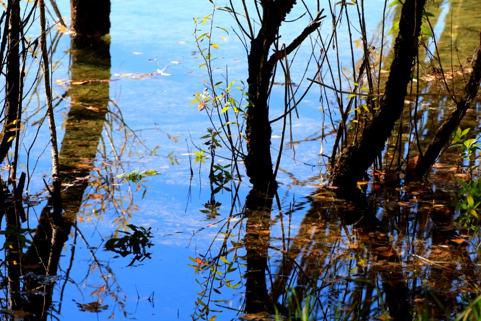 Stephanie Baumard-Reflets