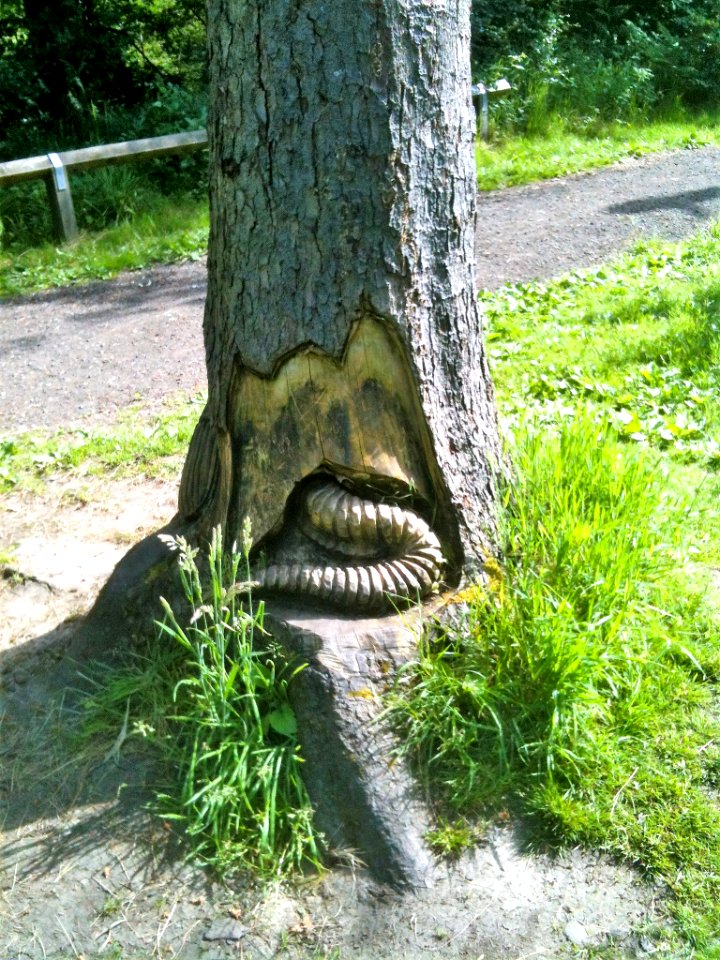Tree carving Blaydon