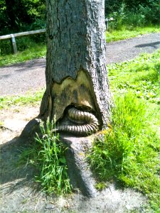 Tree carving Blaydon