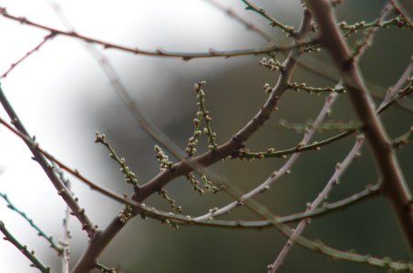 Vivitar 400 MM 1:5,6 AUTO TELEPHOTO