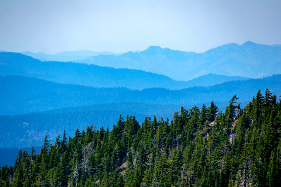 Oregon