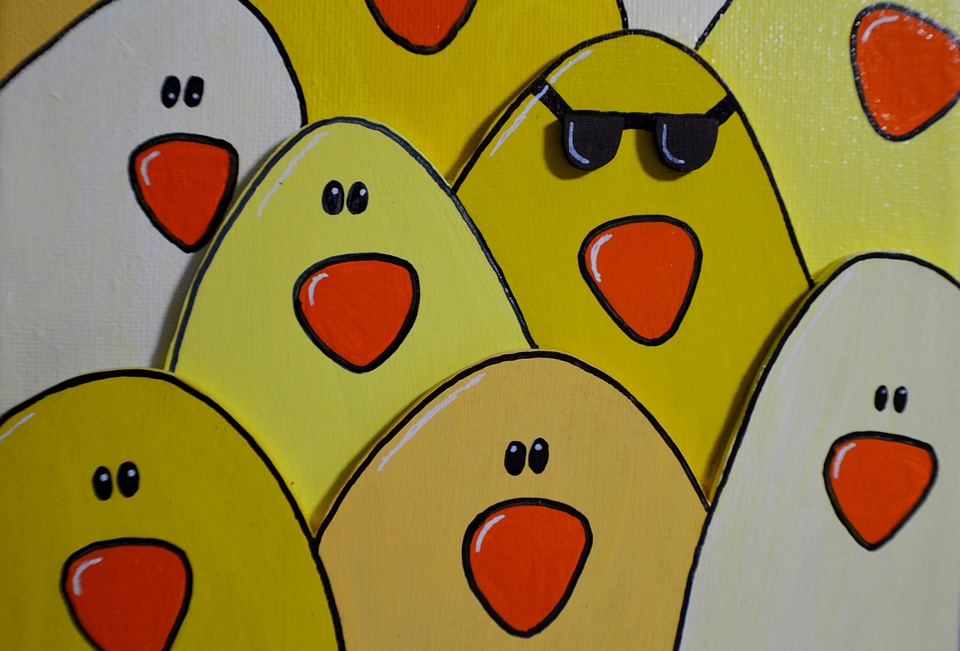 Chickens background funny