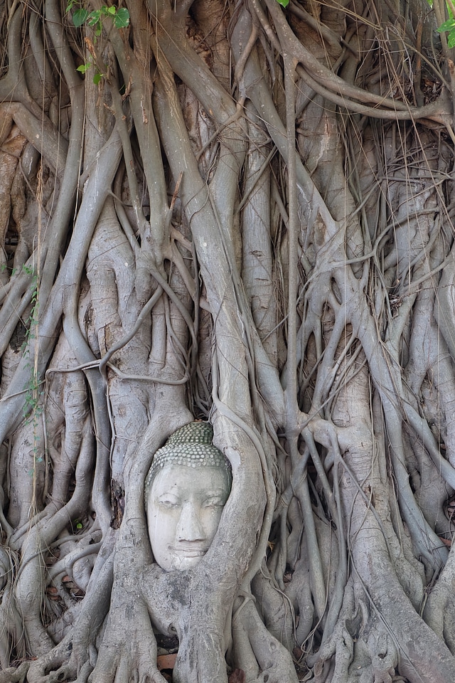 The ancient capital buddha statues miracle