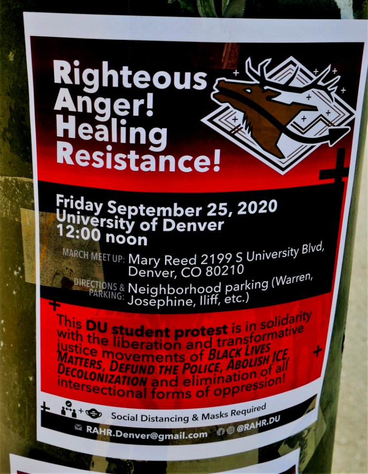 Activism of the Youth of today