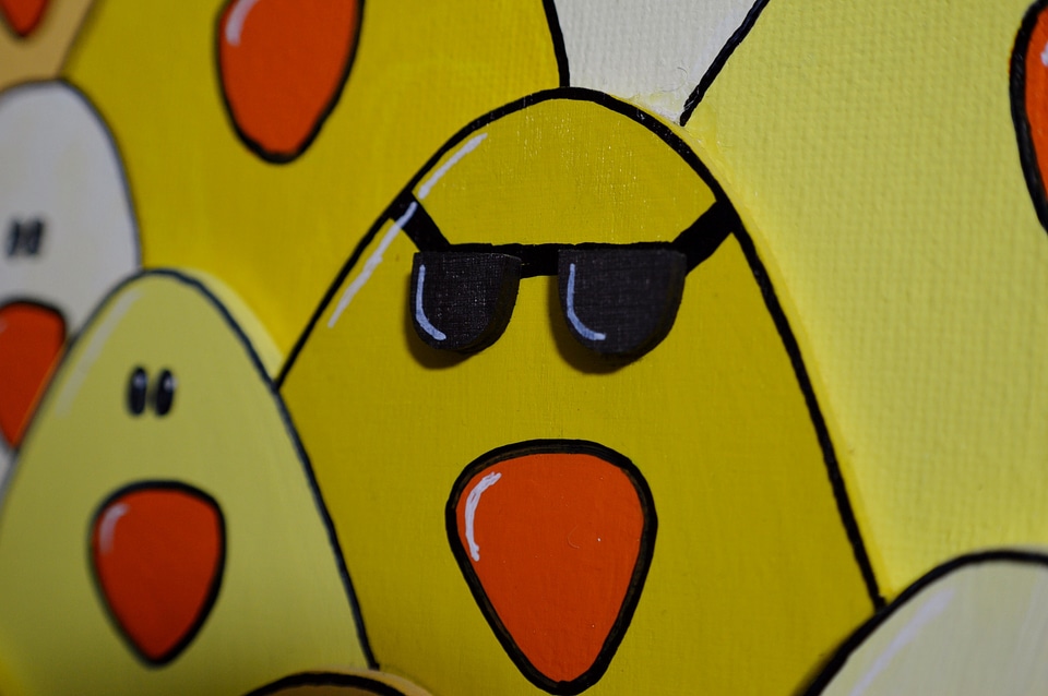 Chickens background funny