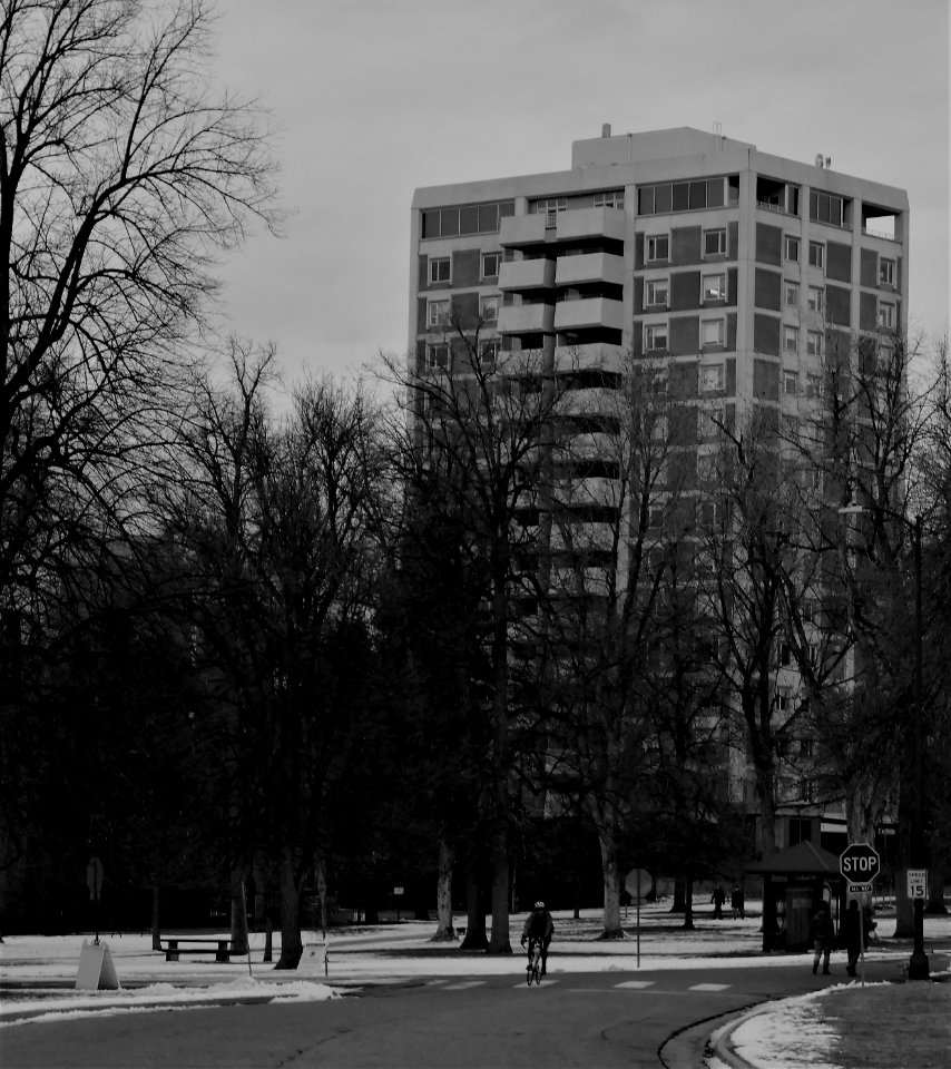 Cheesman Park Road