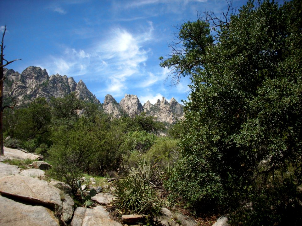 organmountains-desert peaks national monument 11