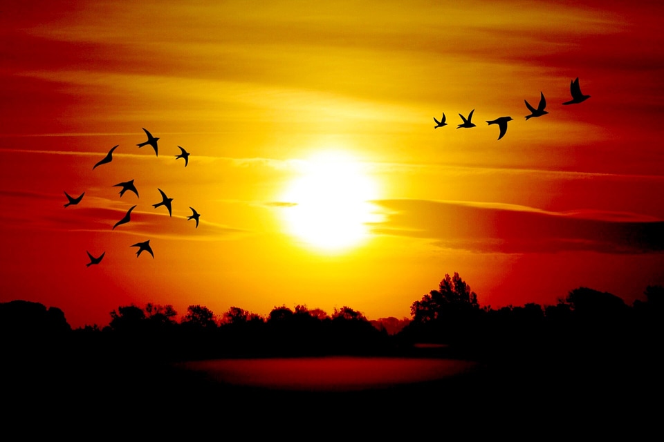 Skies landscape atmospheric