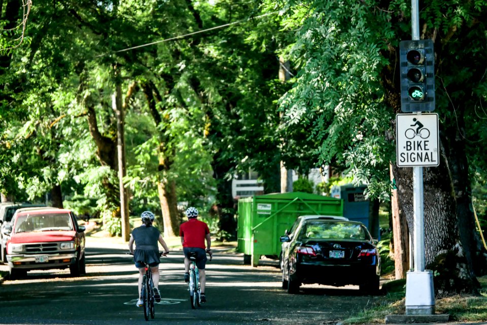 green bike signal