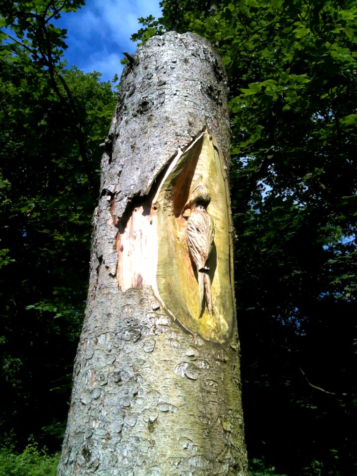 Tree carving Blaydon