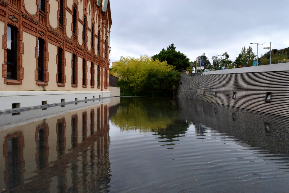 Acqua (quasi) simmetrica
