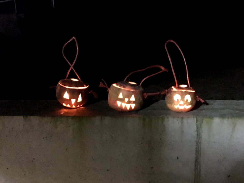 Hop-tu-naa turnips by Sarah Callow (01)