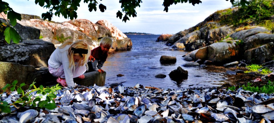 Marokkvika, galgebergtangen,  kristiansand. Rasmus Berge og Luna Electra Berge
