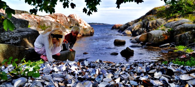Marokkvika, galgebergtangen,  kristiansand. Rasmus Berge og Luna Electra Berge