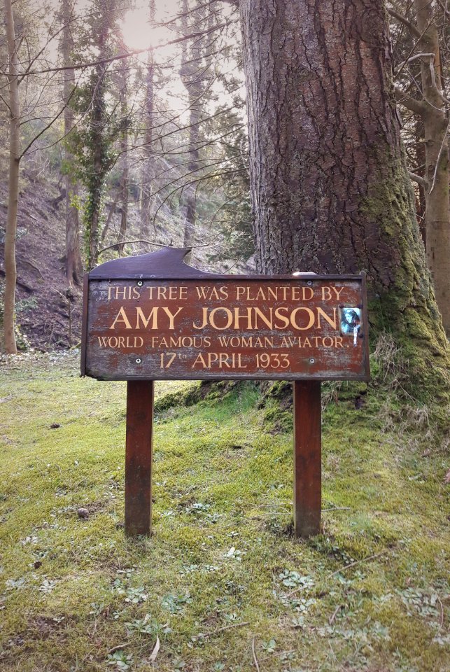 Amy Johnson's tree in Glen Helen, Isle of Man