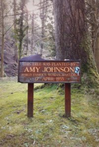 Amy Johnson's tree in Glen Helen, Isle of Man photo