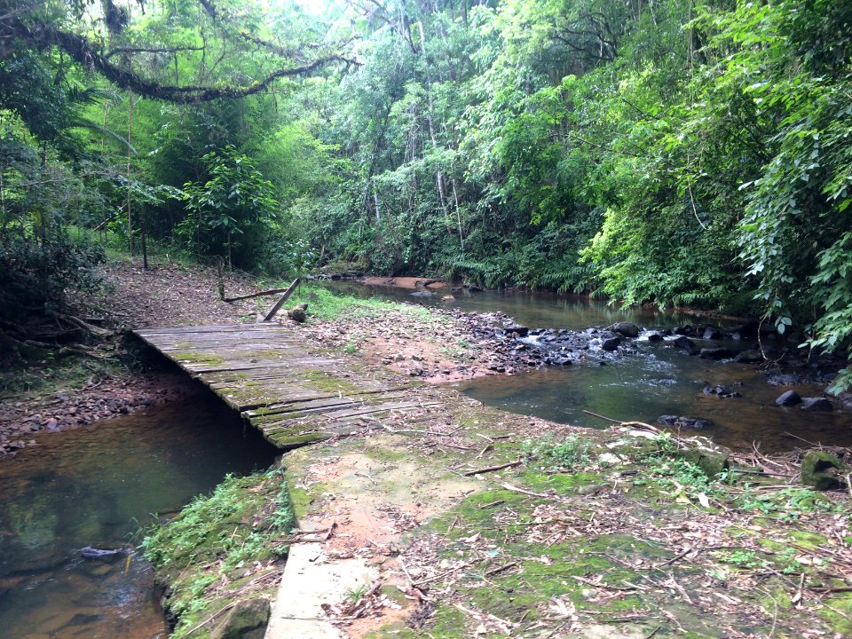 Propriedade particular na localidade de Rio Sellin, em Ibirama - SC.