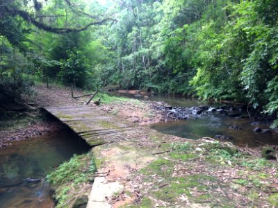 Propriedade particular na localidade de Rio Sellin, em Ibirama - SC.