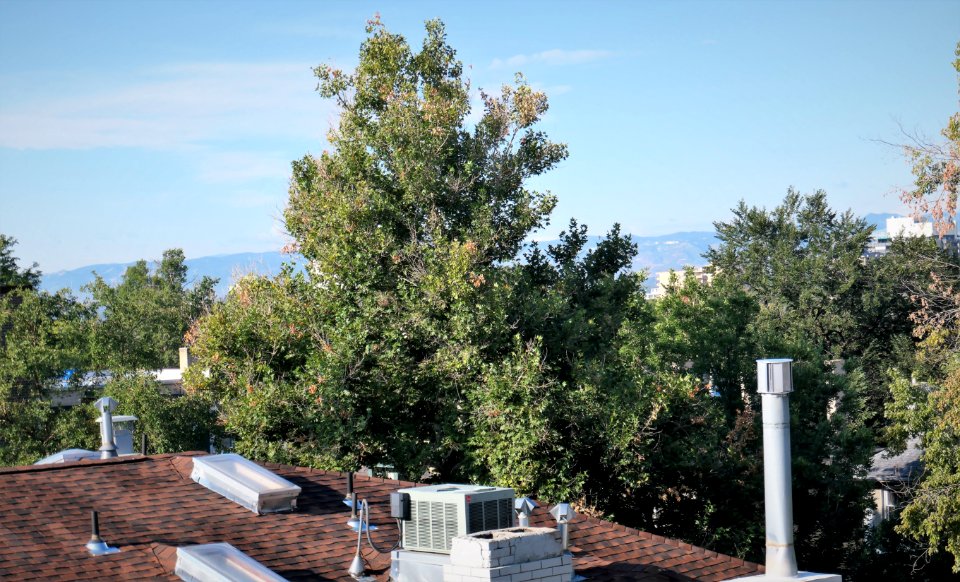 View from my balcony.