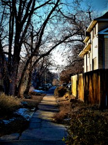 The Walking Path