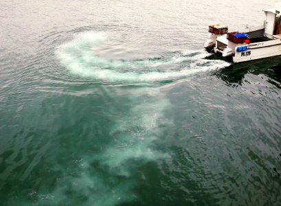 Fishing boat turning at the Peel breakwater photo